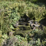 Visit of Prema Baba Swamiji and Prema Amma to the Netherlands